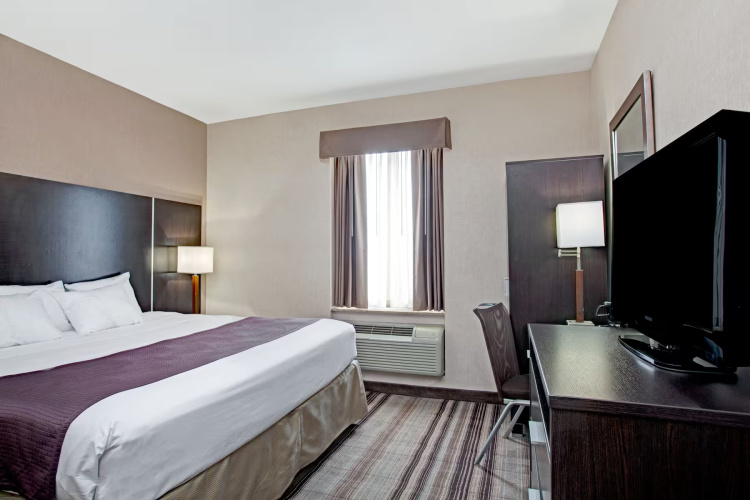 Double Studio Suite
