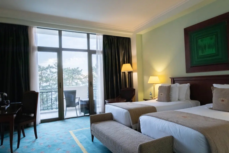 Фотография номера гостиницы Georgia Palace Hotel