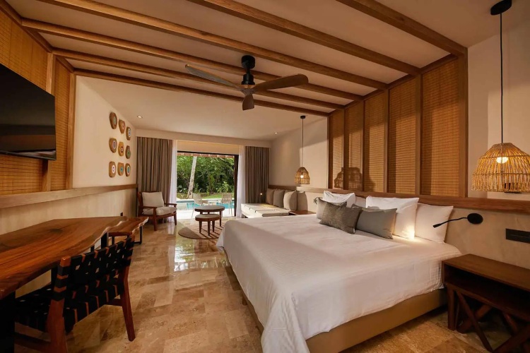 Deluxe Swim Up Double Junior Suite