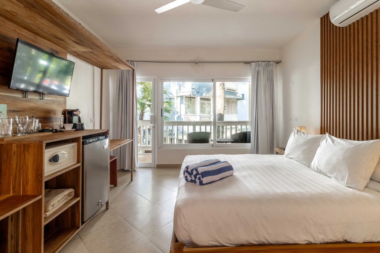 Standard Double room with balcony and with courtyard view