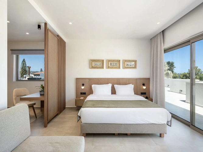 Premium Private Plunge Pool Suite