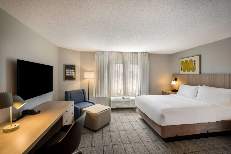Double Studio Suite