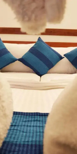 Alkina Lodge Hotel