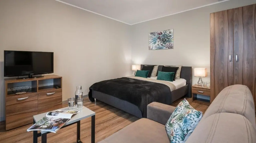 Standard with sofa Double Apartment