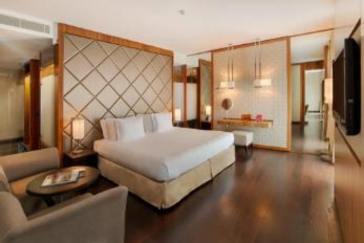 With Terrace Double Suite with view