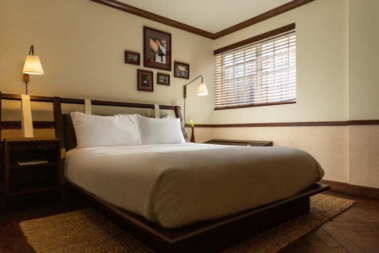 Cozy Double room