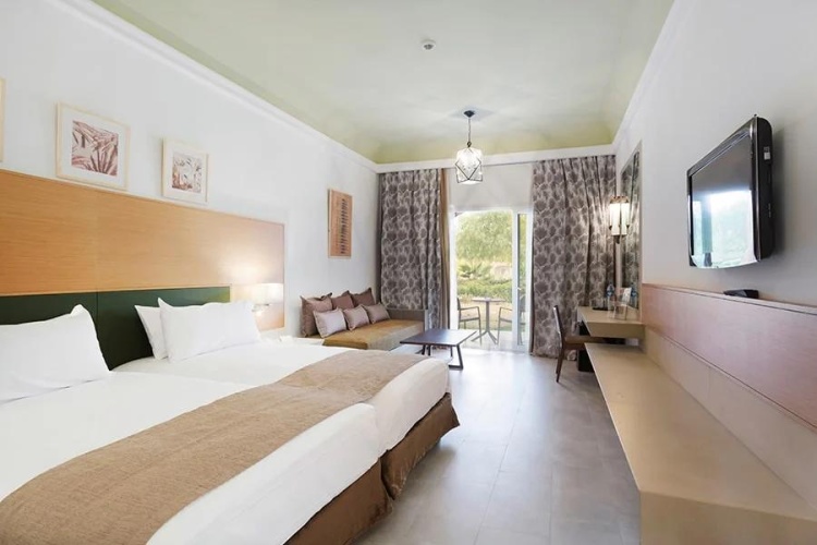Double room with pool view