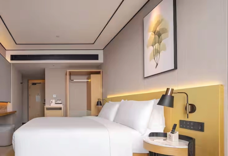 King Guest Double room