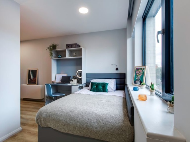 Premium Single Suite