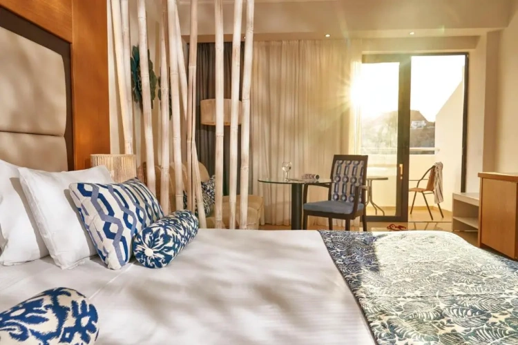 Standard Double room with garden view