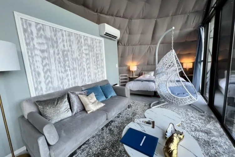Executive Modern Luxury Suite