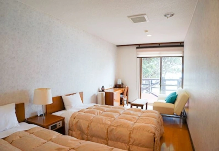 Western-style Twin room