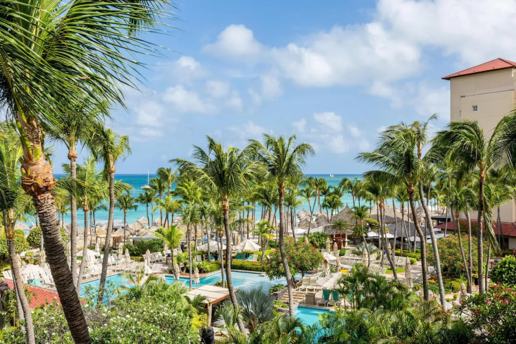 Hyatt Regency Aruba Resort Spa & Casino photo 28