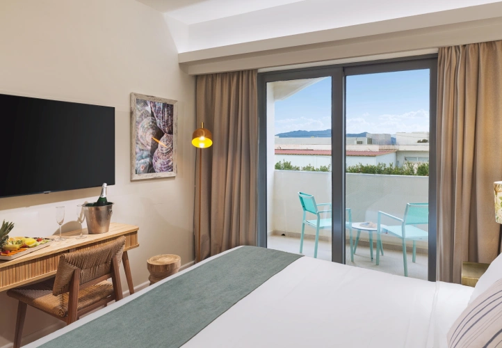 Deluxe Double room with garden view