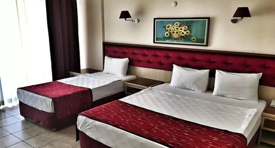 Standard Twin room with land view