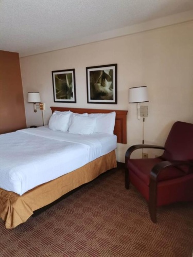 2 Bedrooms Standard Double room