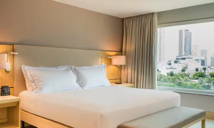 Executive Double Suite with city view