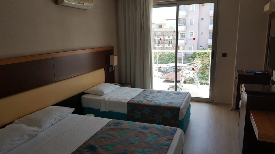 Standard Twin room with land view