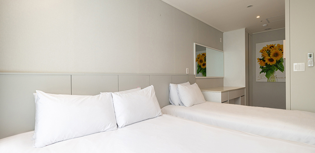 Deluxe Double Family room
