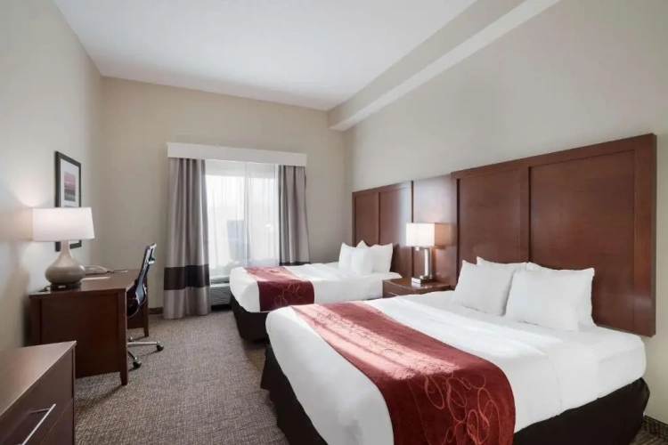 Twin Suite