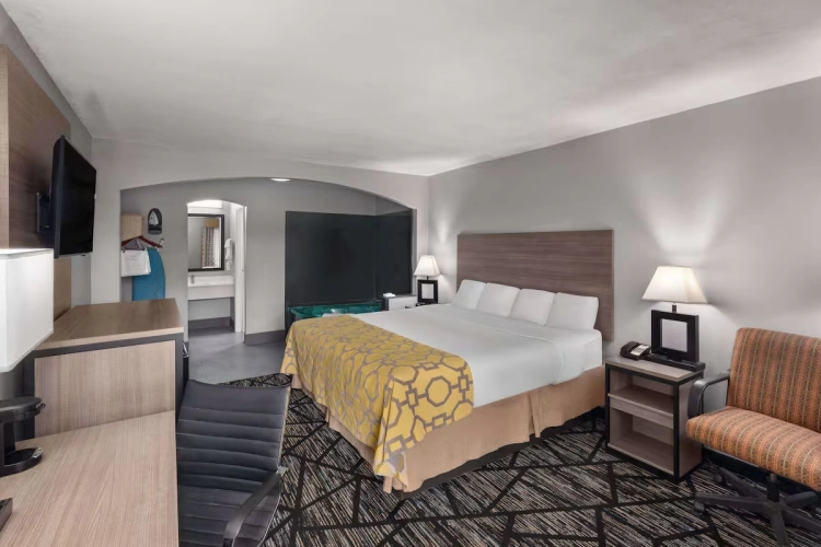 Double Studio Suite