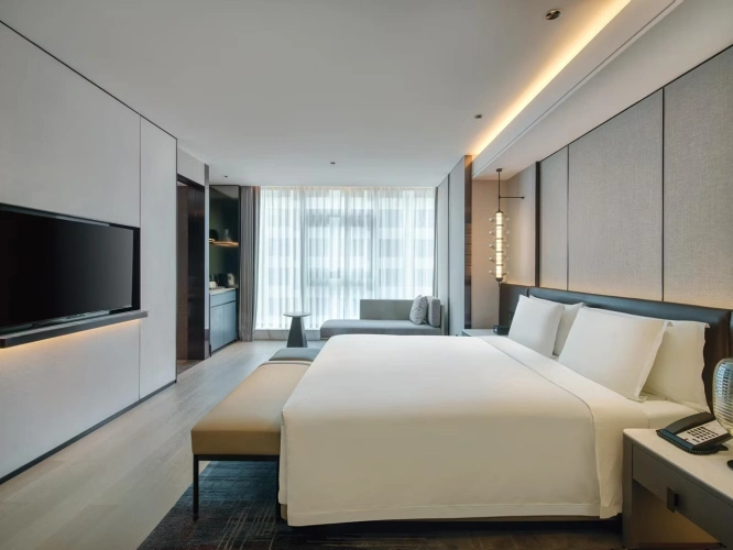 Premium Lounge Access Double room