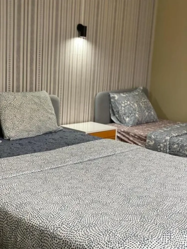 Basic Triple room