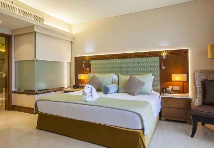Executive Double Suite with balcony