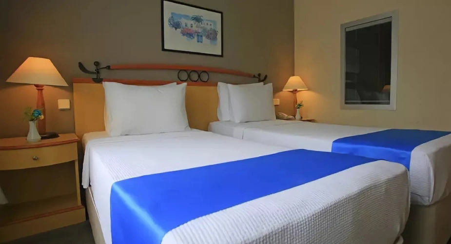Promo Twin room with garden view
