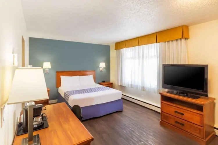 1 Bedroom Double Suite