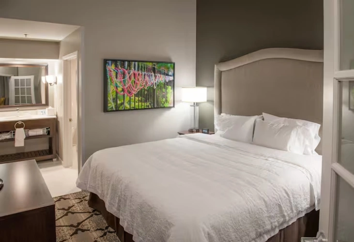 1 Bedroom Deluxe Double Suite