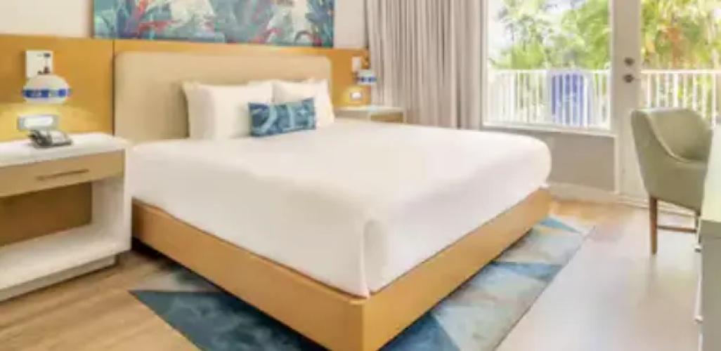 Mobility and Hearing Accessible Double room