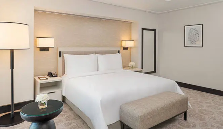 Deluxe Double Suite with city view