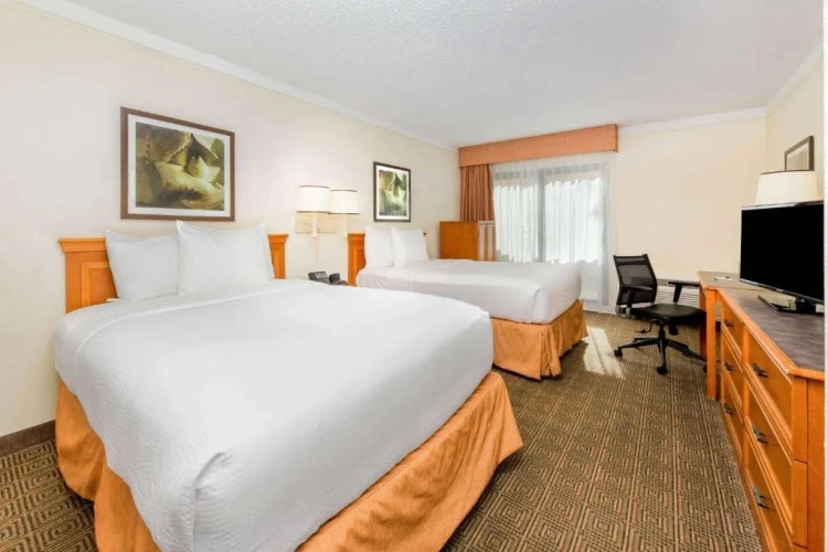 Twin Suite