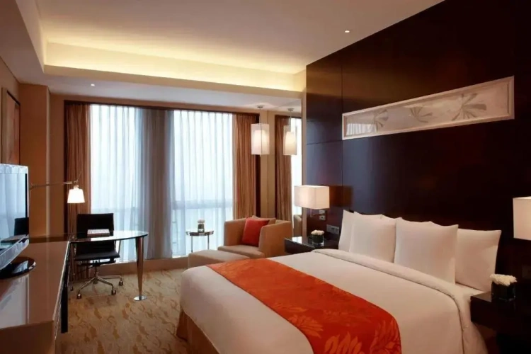 Executive Double Suite
