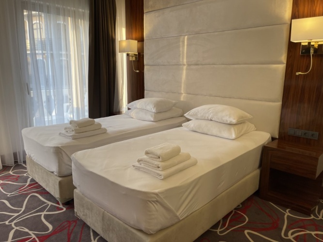 Standard with French Balcony Double room