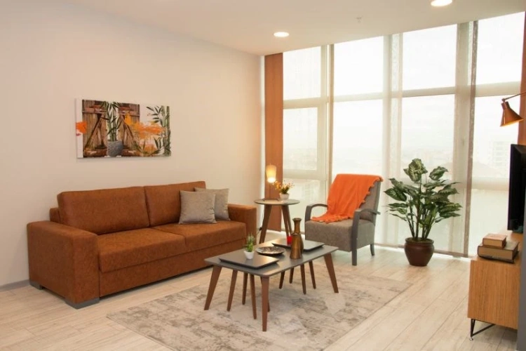 Luxury Apartment