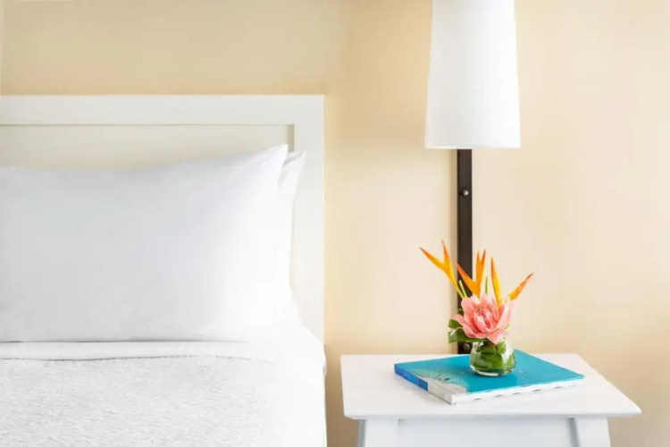 The Twin Fin Hotel