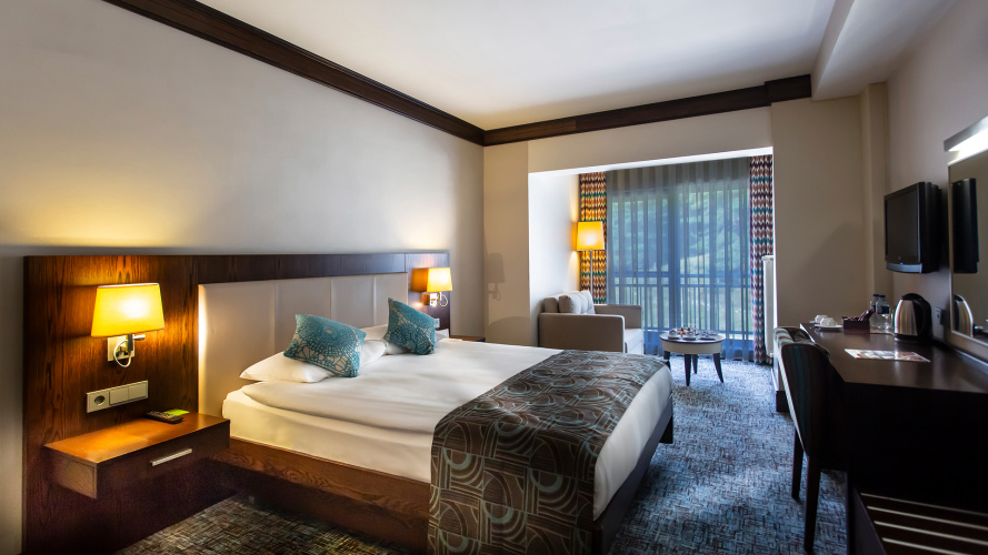 Standard Double room with forest view