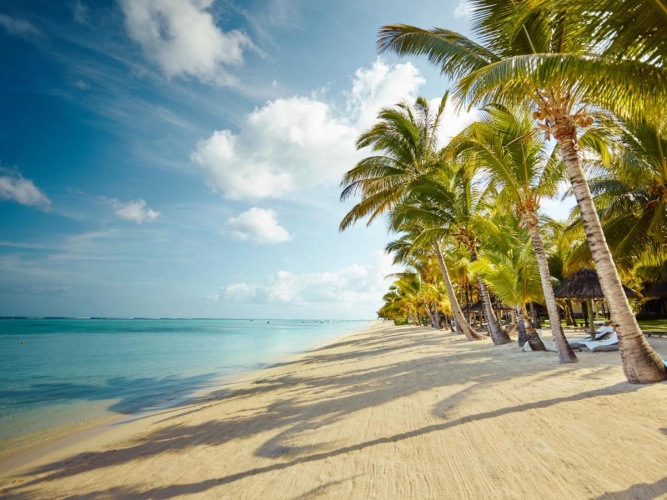 Lux Le Morne photo 33