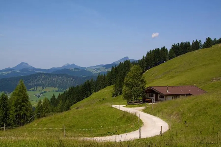 Schnapflhof