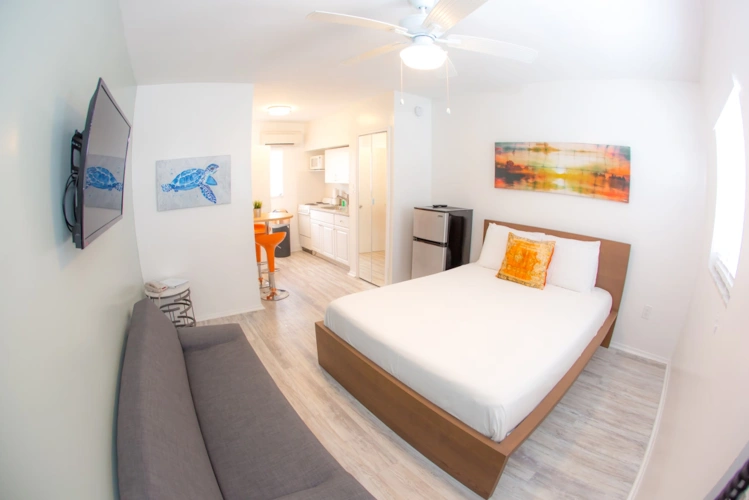 Efficiency Double Suite