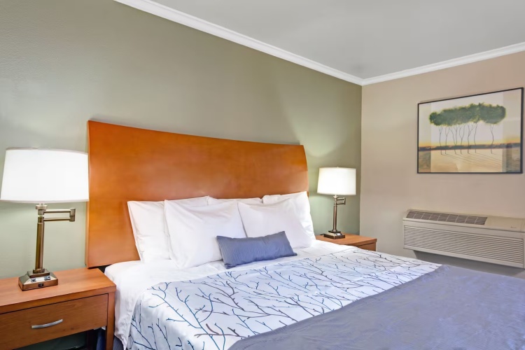Accessible Double room