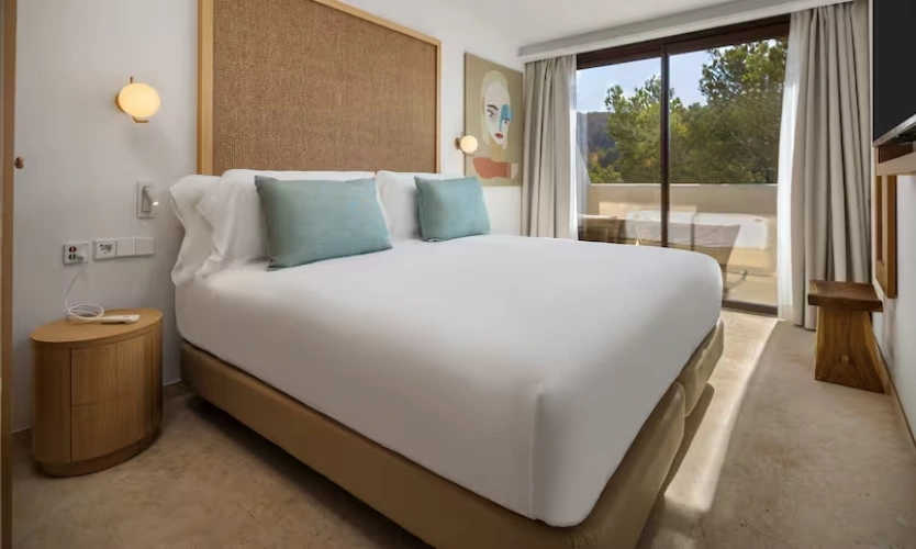 Superior Accessible Double room