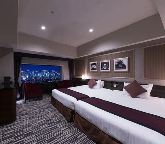 Twin Luxury Floor Room with city view