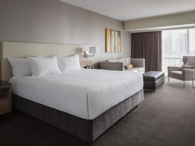 Deluxe Accessible Double room