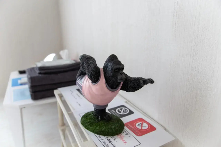 Guest House Gorilla