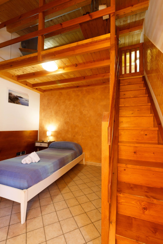 Brown Twin room