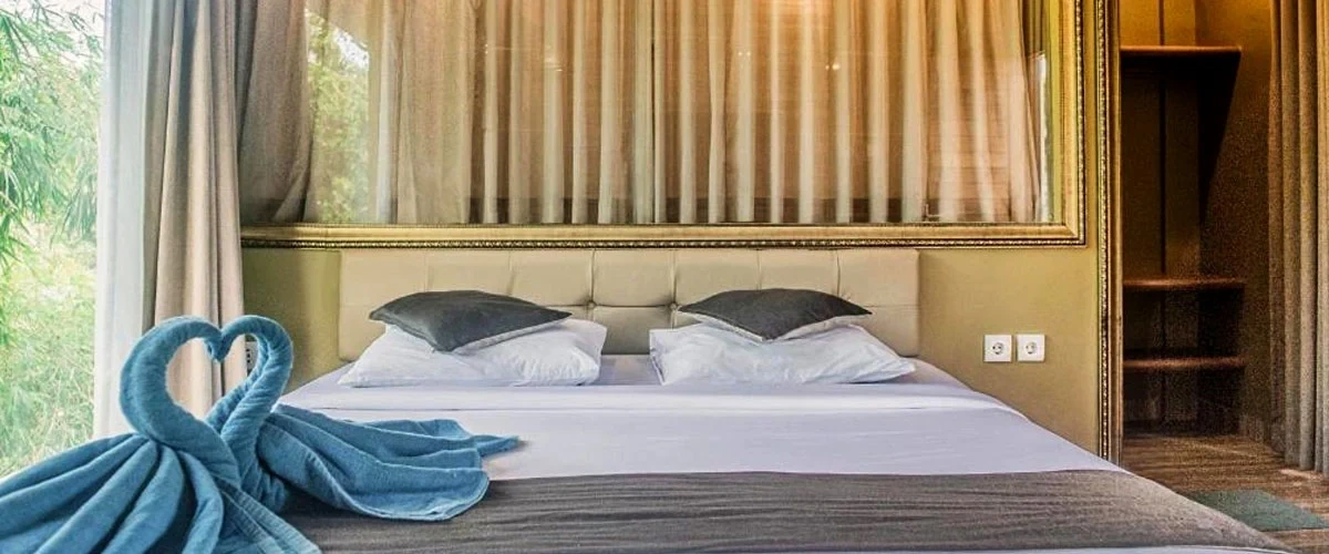 Deluxe Double room with garden view
