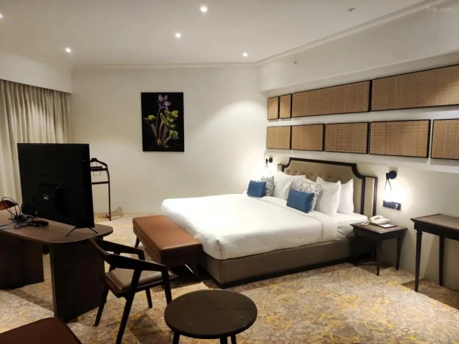 Fern Club Suite